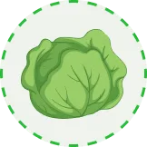 将自然的馈赠带到您的餐桌 - 爱游戏网页版登录