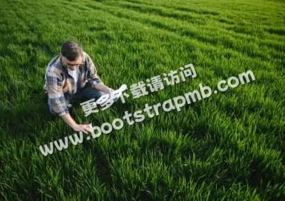探索自然之美 - 爱游戏网页版登录