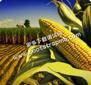 从比较方法切入，逐步深入音乐音效世界 - 爱游戏网页版登录