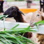搜索 - 爱游戏网页版登录
