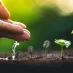 服务 - 爱游戏网页版登录